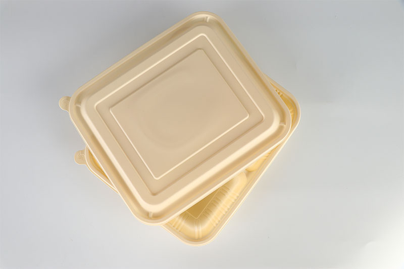 Safety Restaurant Biodegradable 3 Grid Food Container Disposable Lunch Box