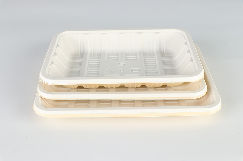 Biodegradable Disposable Food Tray Containers Easy Take Portable Fast Food