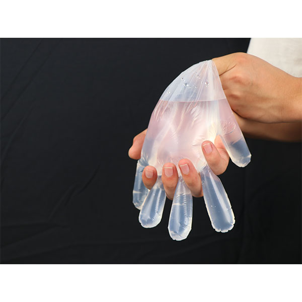100% Compostable Gloves Disposable Food Prep Cooking Gloves